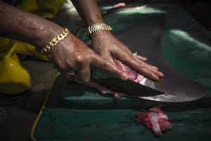 ถ้า ‘ท่าน’ สนใจเรื่องสิ่งแวดล้อม ‘หูฉลาม’คงไม่อยู่ในเมนู…