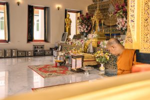 ชาติหน้าคงไม่มีน้ำผึ้งให้เรากินอีกแล้ว