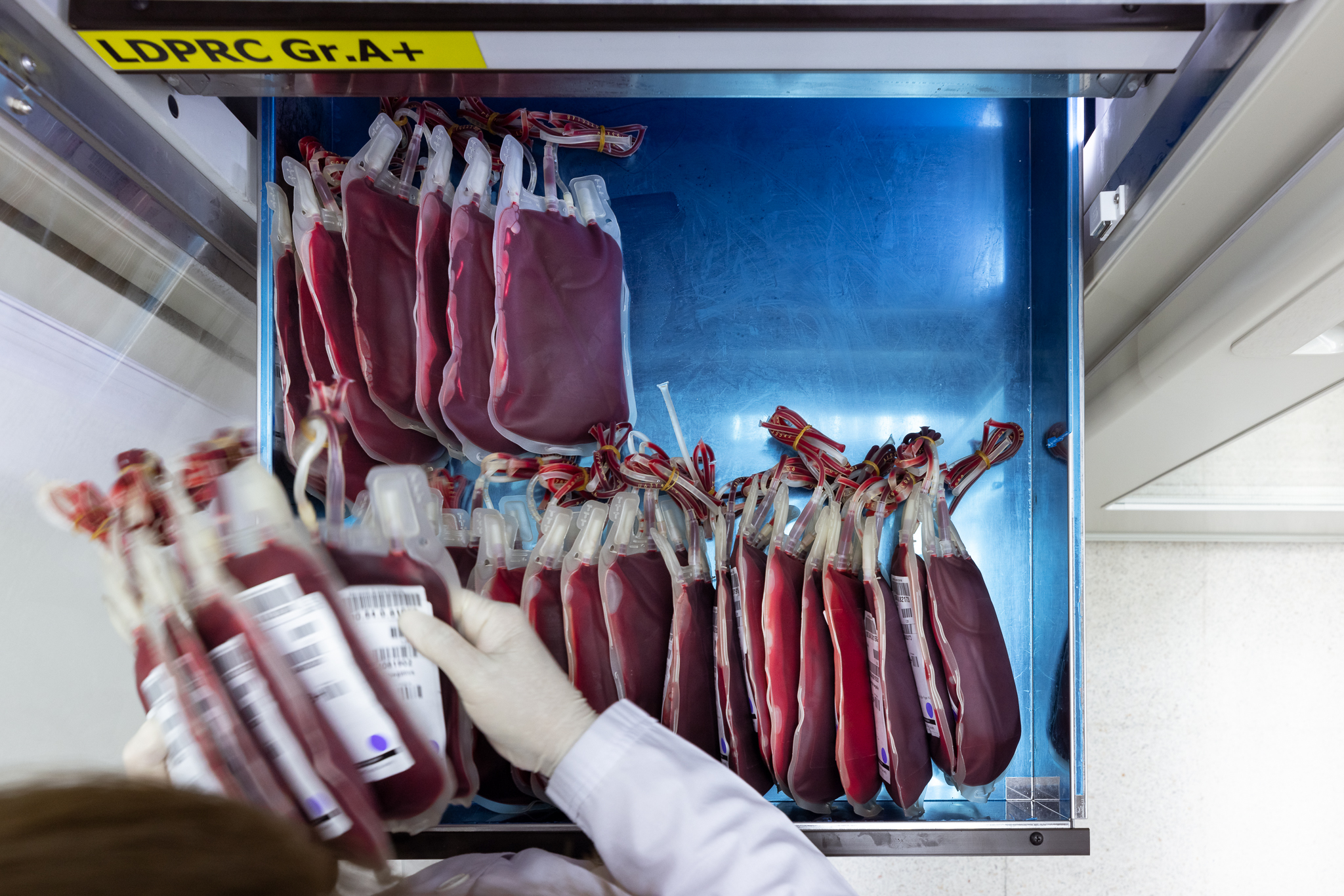 End Of The Line: Human Blood | ปลายทางของเลือด