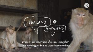 คนกับลิง ความสัมพันธ์ชวนปวดหัวที่ลพบุรี | Love & Hate Relationships Between Lopburi Monkeys & Locals