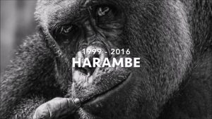 The Best and Worst of 2016