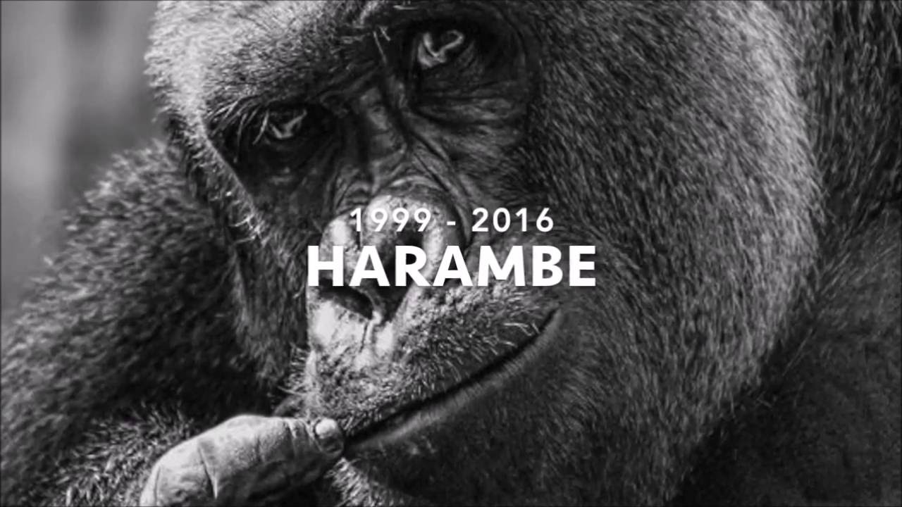 The Best and Worst of 2016