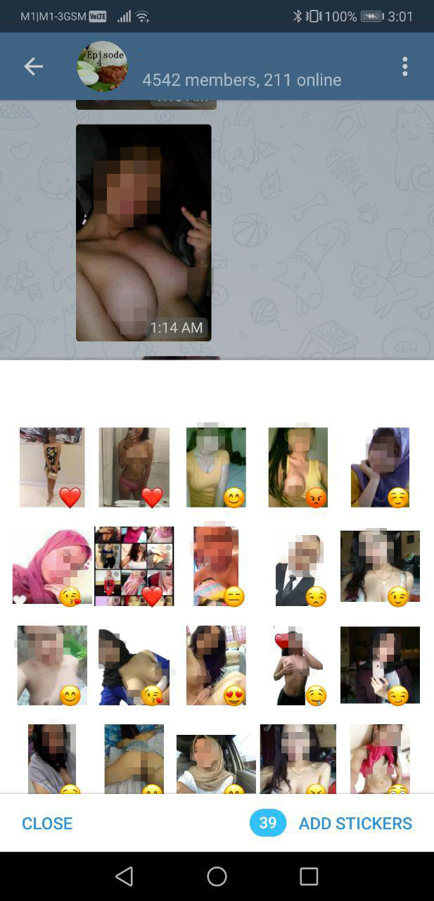 Rice-Media-Telegram-SBF-13 Rice-Media-Telegram-SBF-13
