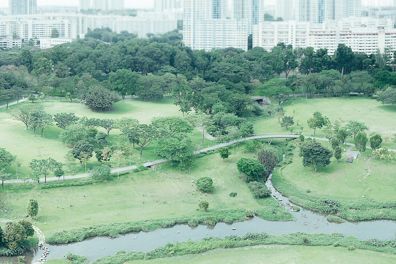 Does Singapore Have “No More Free Space”? Or Are We Just Not Allowed to Use Space Freely?