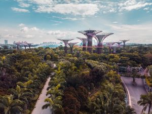 What Are Singapore’s Youth Prepared To Sacrifice For The Future They Want?