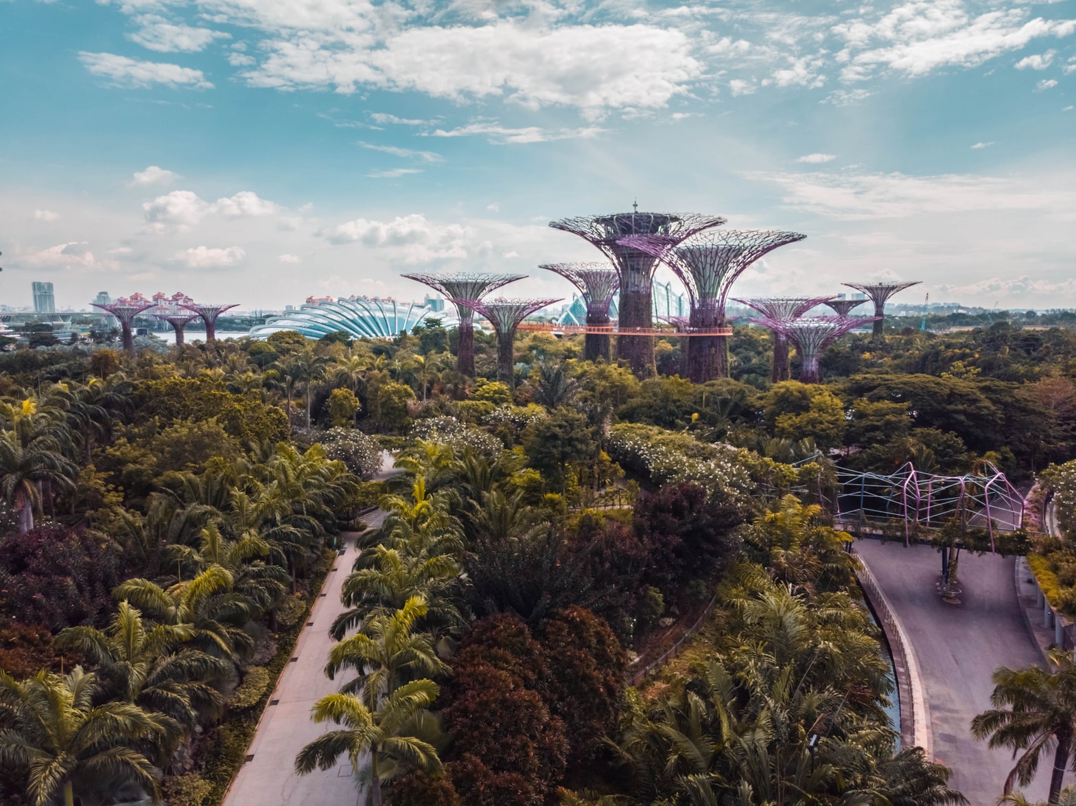 What Are Singapore’s Youth Prepared To Sacrifice For The Future They Want?