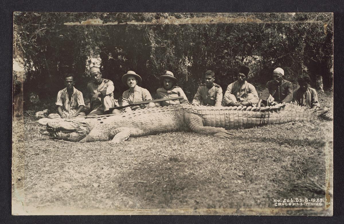 Mad Dogs And Englishmen: How The British Empire Changed Our Natural Landscape