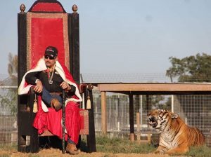 A Review Of Netflix’s Tiger King: What. The. Actual. F***.