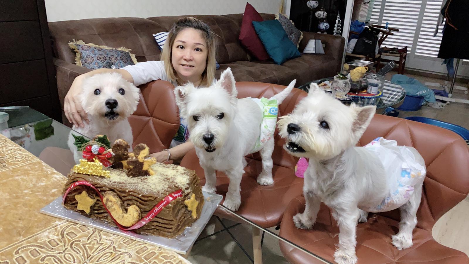 My Dog Was Dying, My Vet Told Me to Put Him Down, But 100% Oxygen Saved Him