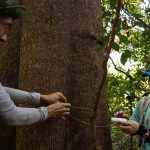 The Plight of Dover Forest, And One Secondary School Teacher’s Fight to Save It