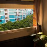 Ten Windows, Ten Perspectives on Phase 2