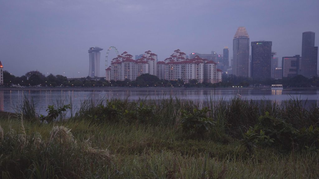 Image of Singapore VTLs