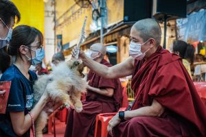 A Vesak Day Trip to Thekchen Choling, the Temple Giving Blessings to Pets