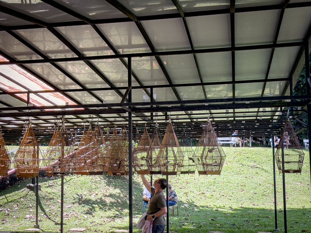 A birdman hanging up his pet, under the sheltered area.