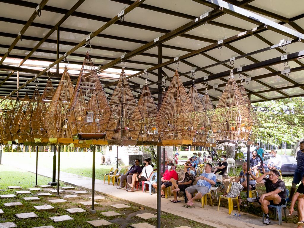 A group of birdmen watching watching their pets at Kebun Baru Birdsinging Club.