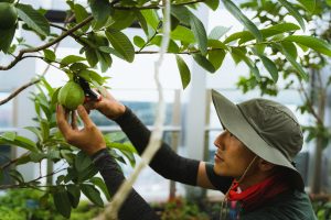 51 Floors Above CBD, a Food Farm Offers Real Solutions to Food Scarcity
