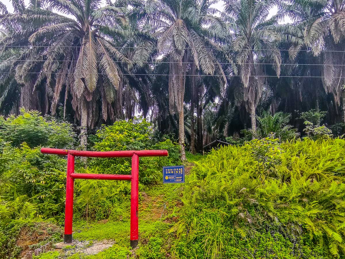 In Sarawak, a Hidden Japanese Shrine Offers an Alternative Pre-WWII History