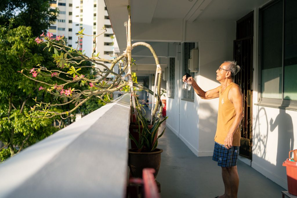 PLH Prime Location Housing