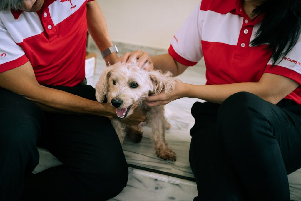 Hazel Poa Tony Tan PSP