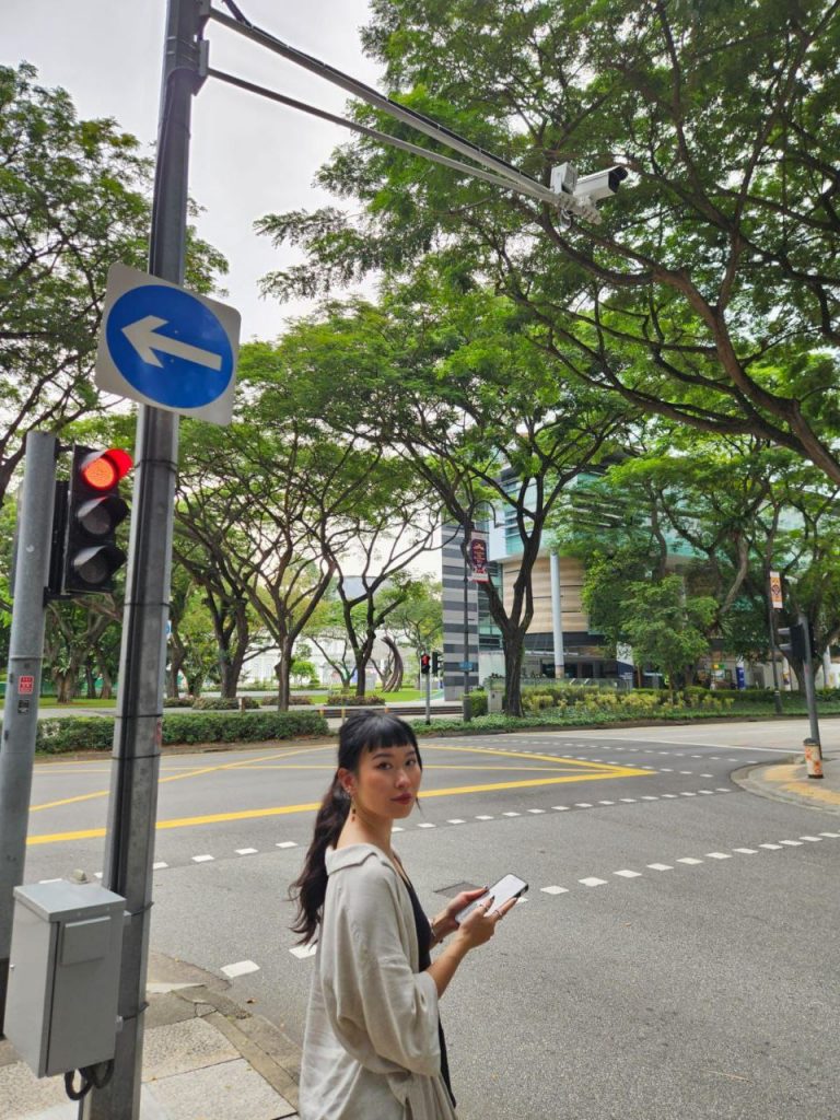 Christabel Png ERP X