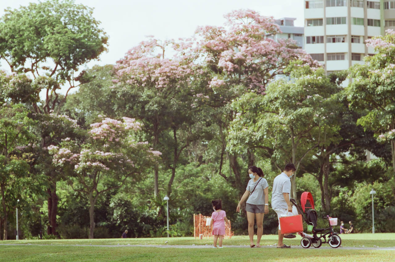 Singapore Wants More Babies, but to What End?