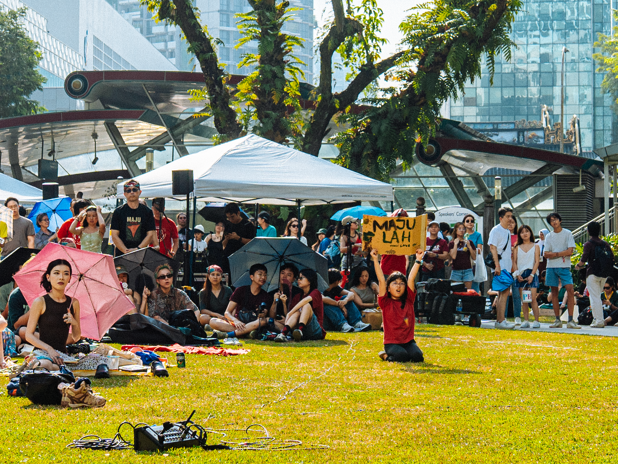 Maju Rally: How the Heat Made the Case for Every Tree Left Standing