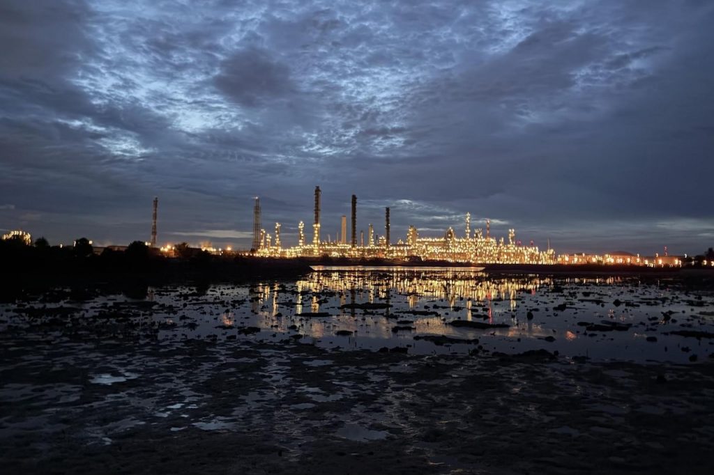 Young, Dumb, and Apparently Too Concerned About Singapore’s Environmental Heritage