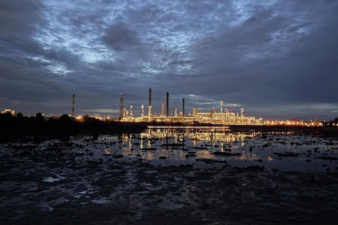 Young, Dumb, and Apparently Too Concerned About Singapore’s Environmental Heritage